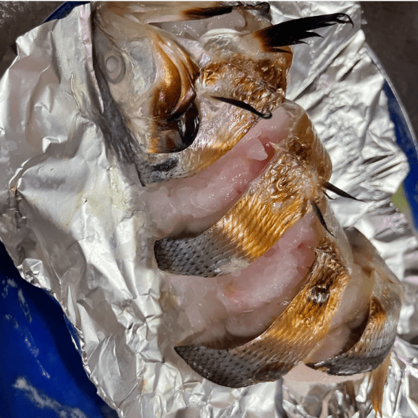 料理写真